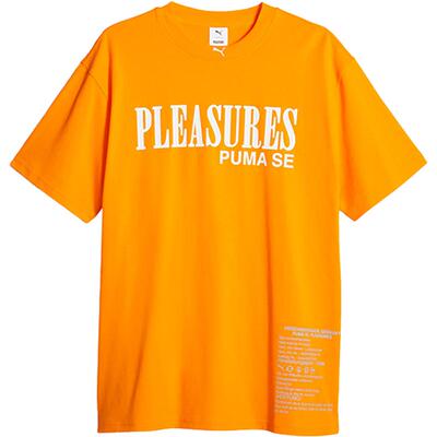 Puma/彪马正品PLEASURES TYPO联名情侣复古休闲短袖620878-73
