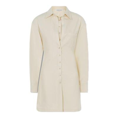 INSPIRE法式衬衫连衣裙女