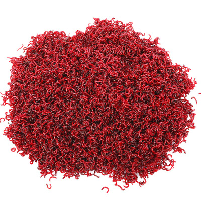 红虫活饵特大号鲫鱼野钓蚯蚓