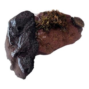 乌龟晒台爬台鱼缸火山岩龟缸爬坡高水位休息深水浮岛晒背低水位