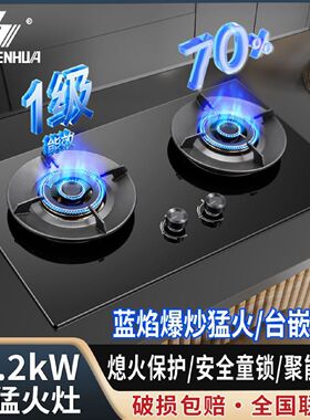 申花燃气灶煤气灶双灶头液化气灶家用节能猛火灶天然气嵌入式双炉
