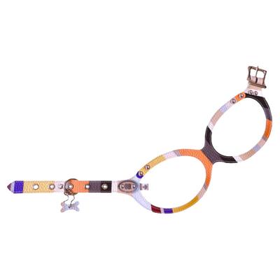 加拿大bb胸背格子小型犬