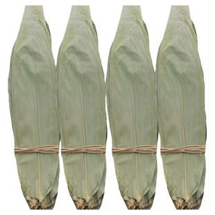 粽叶粽子叶免邮新鲜干粽叶大号包粽子叶子粽粑叶棕叶批发统货量大
