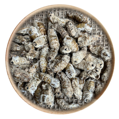 50g雄蚕蛾可打粉满包邮