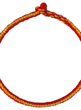 蛇年本命年红绳女手绳龙鳞手链