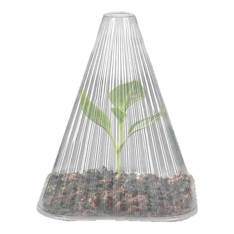 草莓育苗盘种植杯透明保护罩鸟类