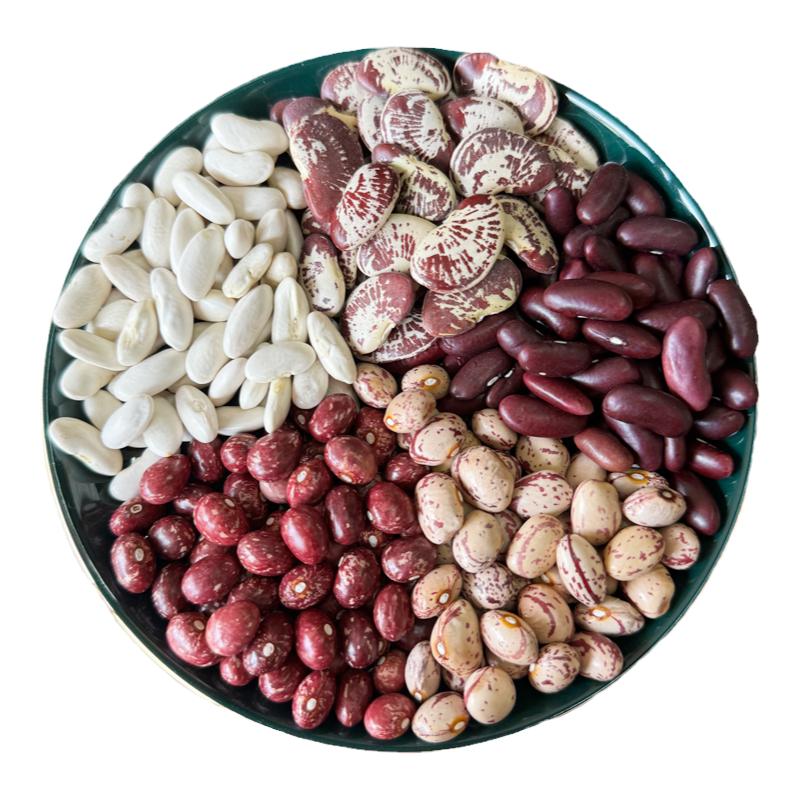 云南五谷杂粮芸豆组合红芸豆雀蛋豆金丝豆荷包豆五种独立包装口味