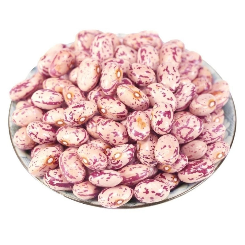 贵州本地当季新花豆花四季豆米金豆白芸豆酸菜豆米雀蛋豆花芸豆
