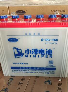 小洋蓄电池电动三轮车电动堆高机6DG120型120AH水电瓶140型150型