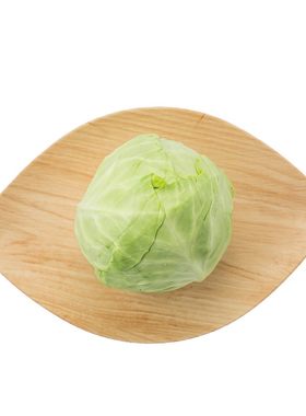 东升农场青椰菜球圆白菜包菜