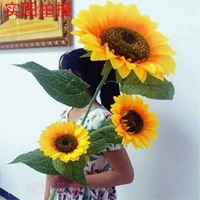 Большой, 1.3м