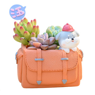 创意趣味学童书包主题多肉植物盆栽肉肉小花盆小兔小熊小动物笔筒