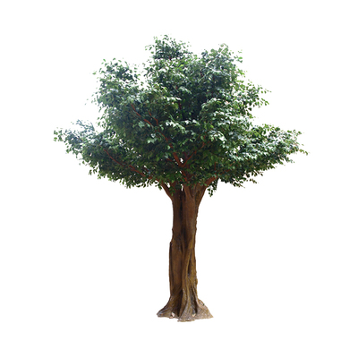 景观树白桦树仿真树大厅庭院落地