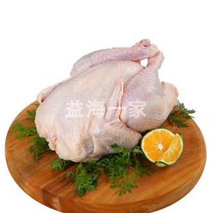 西装鸡童子鸡冷冻18/20/23/28只9.8kg箱汉堡脆皮炸鸡手撕烤鸡食品