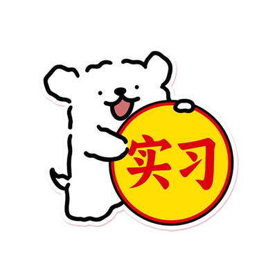 新手上路实习车贴磁性反光贴