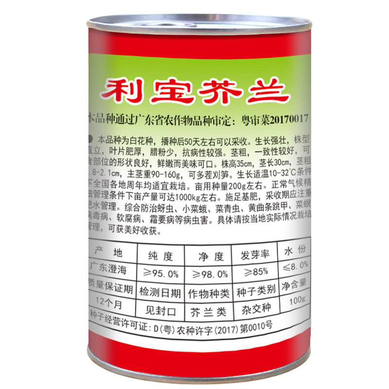 芥兰甜脆广东四季种子四季