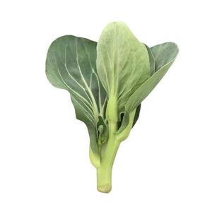 顺丰苏北青菜苔新鲜现摘菜头矮脚青菜甜糯油菜霜冻菜心蔬菜农家菜