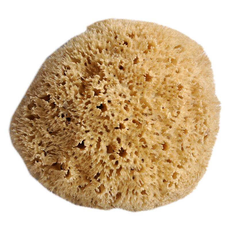 原色蜂窝绵5.0~5.5英寸 儿童成人洗澡 地中海海绵希腊天然海藻棉