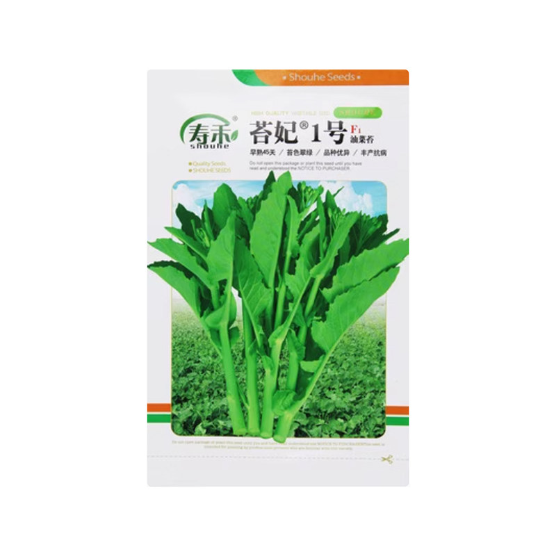早熟油菜苔种籽种子籽秋冬季油菜薹种籽菜苔青菜籽种蔬菜孑