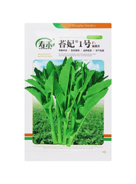 早熟油菜苔种籽秋冬季