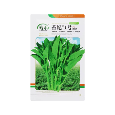 早熟油菜苔种籽秋冬季