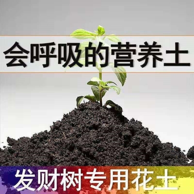 发财树专用土发财树营养土壤家用盆栽绿植疏松透气种植土有机肥料