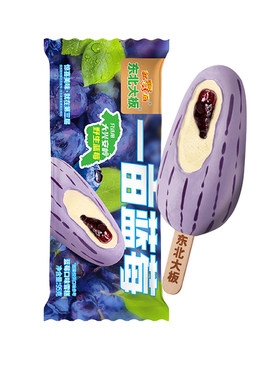 2026新品10支东北大板冰淇淋