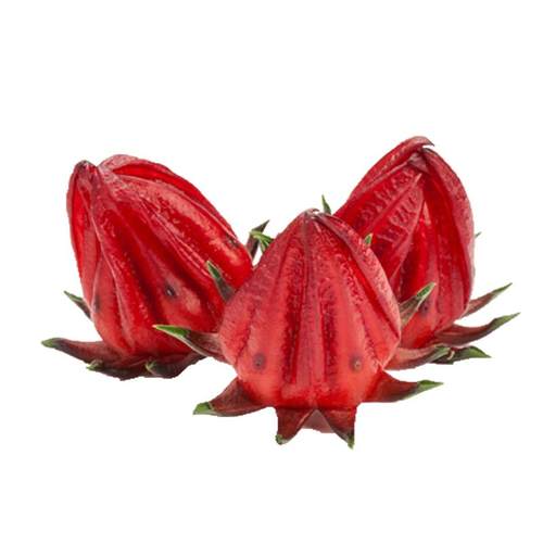 洛神花种子红桃k苗泡茶女盆栽花苗花种云南种籽红金梅玫瑰茄种孑