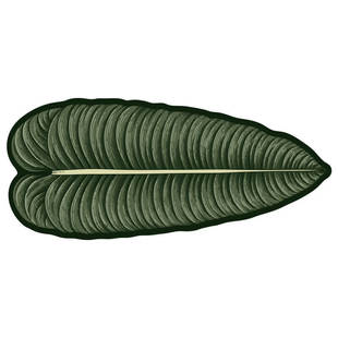 暖藻 绿色叶子ins家用卫生间防滑地垫软硅藻泥吸水垫浴室长条地毯