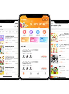 AI软件开发java程序定制php二次开发python代码编写qtC++桌面程序