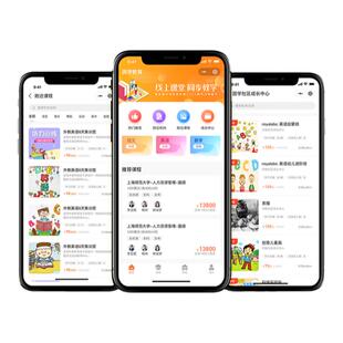 AI软件开发java程序定制php二次开发python代码编写qtC++桌面程序