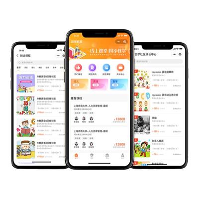 AI软件开发java程序定制php二次开发python代码编写qtC++桌面程序
