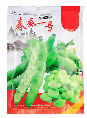 春蚕一号大蚕豆种籽种子特大高产本地早熟蔬菜阳台盆栽四季孑菜种