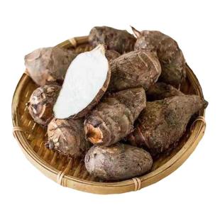 广东乐昌小香芋仔韶关芋头新鲜小芋头现挖农家粉糯槟榔芋仔芋艿10