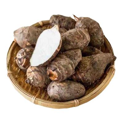 广东乐昌香芋韶关新鲜粉糯香甜