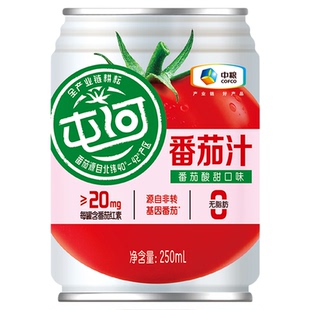 中粮屯河新疆及内蒙无蔗糖番茄汁250ml*6罐轻断食果蔬汁果汁饮料