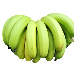 广西本地蕉土香蕉未改良基因新鲜蕉芝麻蕉香甜无催熟剂净重