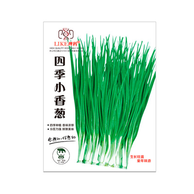 四季小香葱IDEAL多茬采收耐热