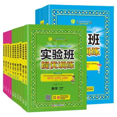2025版小学实验班提优训练语数英
