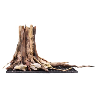 鱼缸造景树桩生命之树沉木一体骨架树根树头树墩生态造景组合木桩