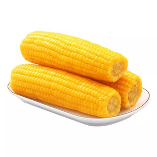 东北正宗新鲜黄糯玉米软糯香甜拉丝独立包装代餐早餐非即食糯玉米