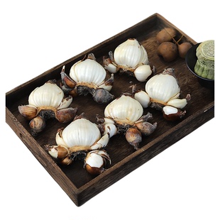 特级精选漳州水仙花大种球正宗大花头水培球根水养植物原产地发货