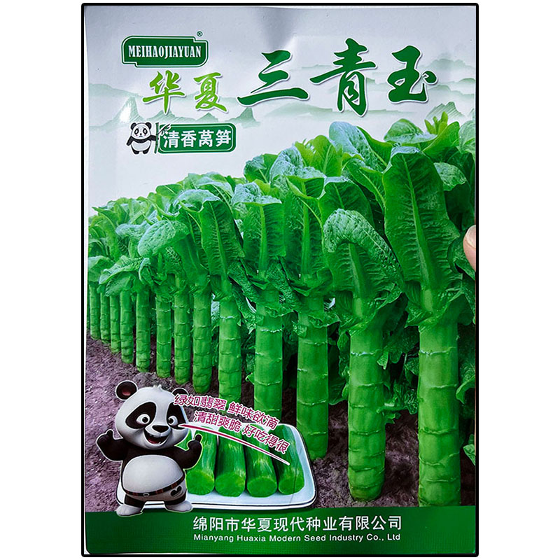 青皮肉深绿香莴笋菜种子耐寒高产