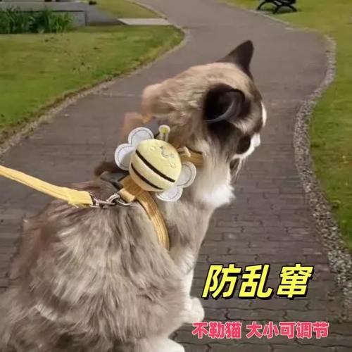 防丢猫咪牵引绳可调节工字型遛猫绳防挣脱外出专用猫绳子溜猫链子