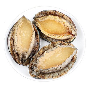 新鲜鲍鱼去内脏鲜冻鲍鱼捞汁海鲜水产贝类鲍鱼仔火锅食材批发商用