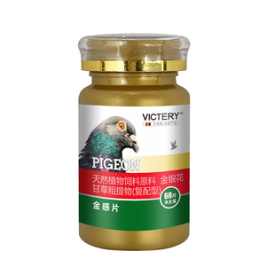 鸽子呼吸道非鸽药汉诺威金感片赛信鸽眼睛流泪张口呼吸甩鼻