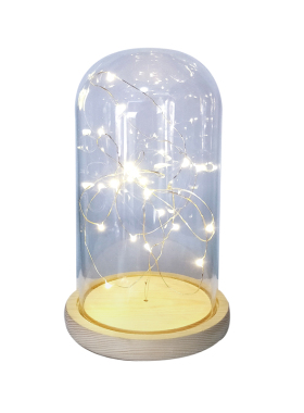 元旦永生花防尘罩小夜灯桌面摆件