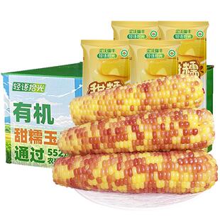 甜粘花糯玉米非东北非转基因有机彩色玉米新鲜粘真空早餐