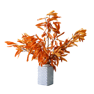 永生花叶天然栗树叶枯树叶中式日式侘寂风禅意软装北欧秋色树叶