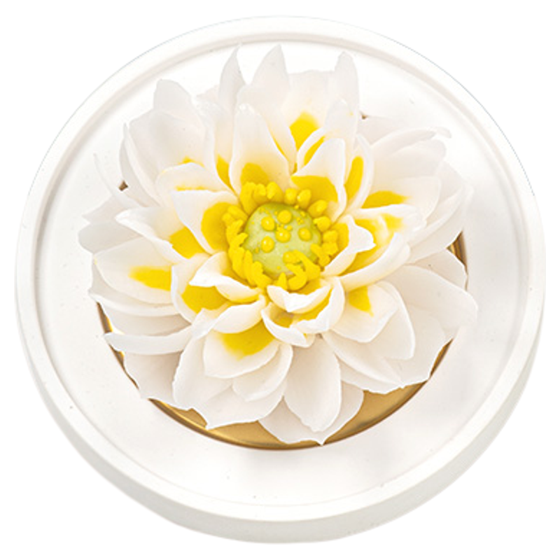 【生日礼物】花韵诗非遗瓷花